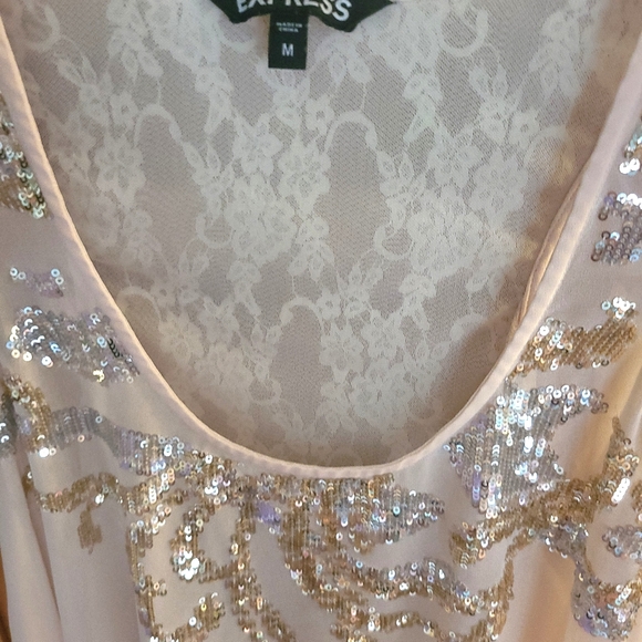 BOGO Express Sheer Champagne colored Top w/ Sequin design & Lace back size MED - Picture 4 of 13